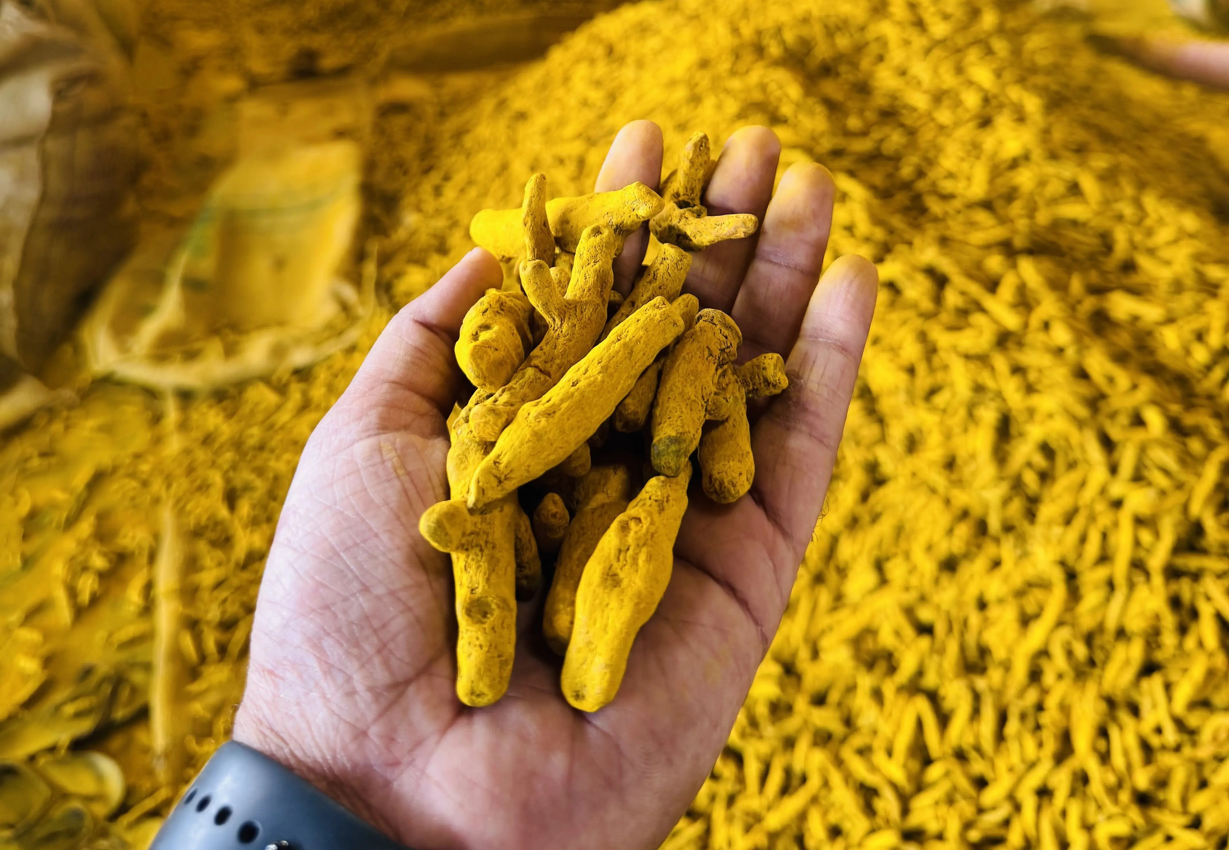 Premium Turmeric